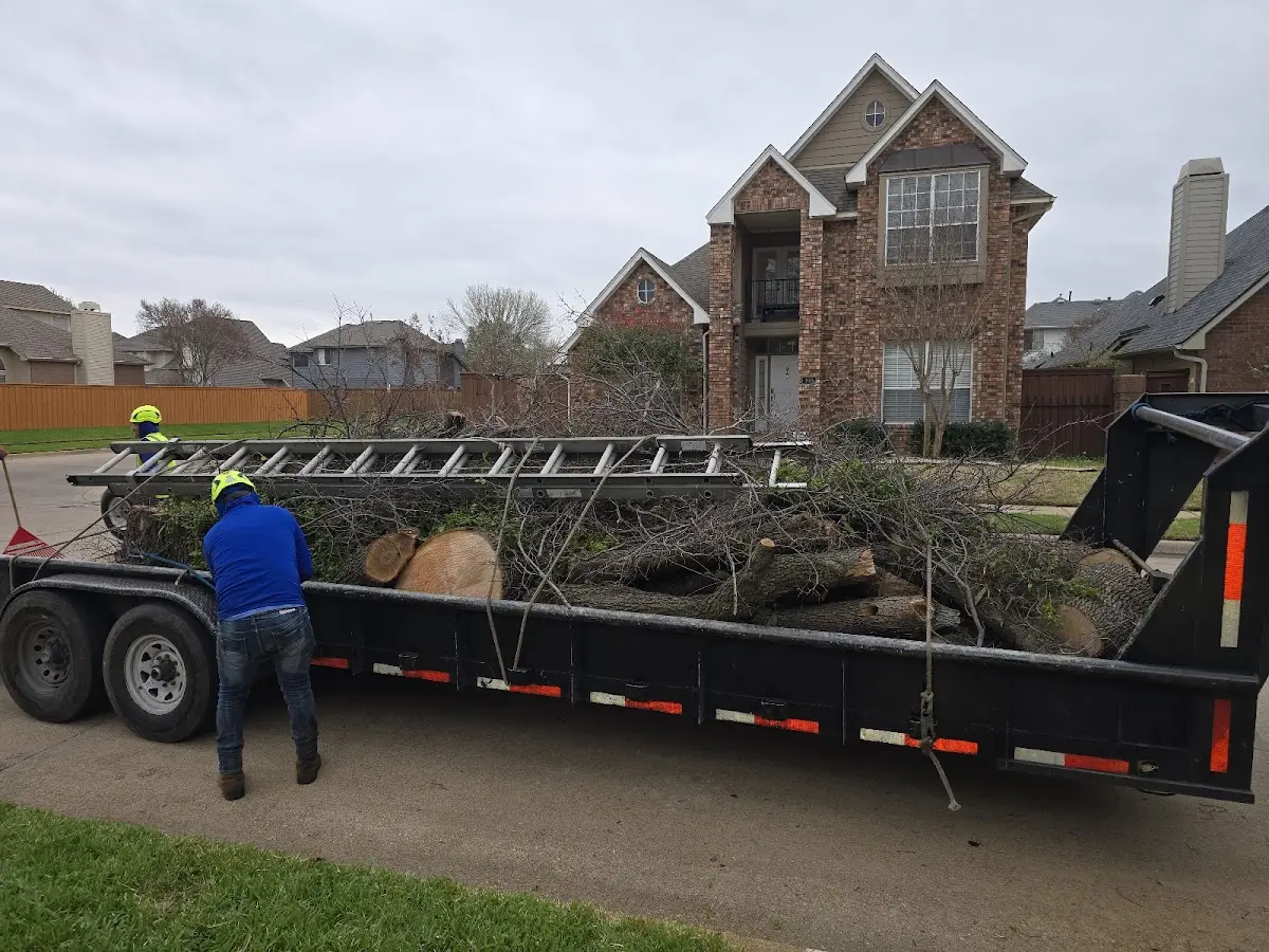 Expert Lot Clearing with proper safety equipment in Nahma